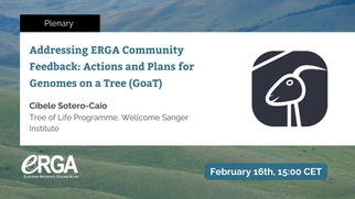 Addressing ERGA Community Feedback: Actions and Plans for Genomes on a Tree (GoaT)