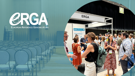 Conferences 2026  - Let's connect!