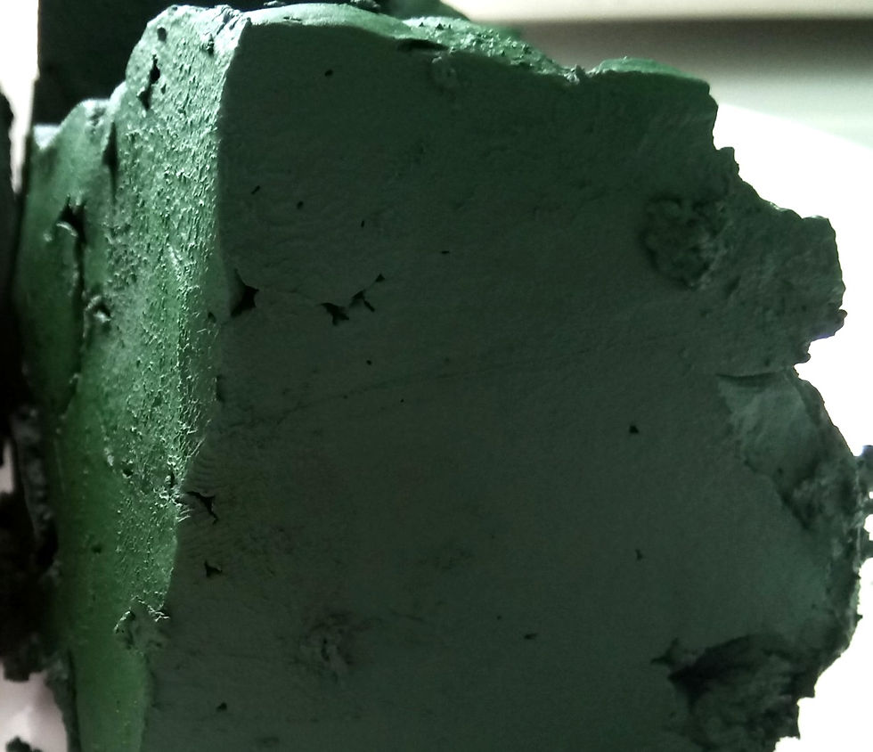 Thumbnail: TẢO TƯƠI - FRESH SPIRULINA