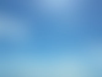 Beer, beaches, and turnips! turnips! turnips!