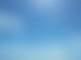 Beer, beaches, and turnips! turnips! turnips!