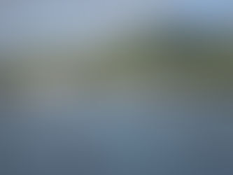 Kickin’ it in the Caribbean with Cool Cats – 2015 Edition