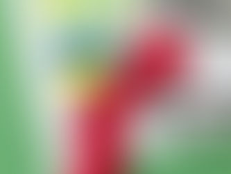 Portefeuille diversifié et résilient