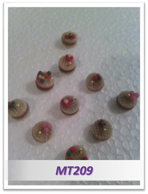 mt209