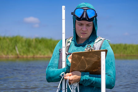 peggy_field_water.jpg