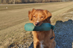 2024-01-28 2024-01-28 001 089