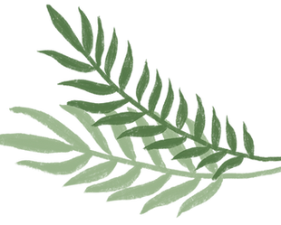 Jasmine - website banners copy 3.png