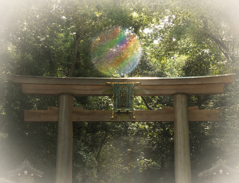 1877a534-3886-4f26-8882-1be98bb6759e.png