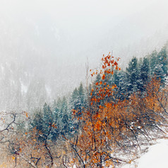 Wintry Hike