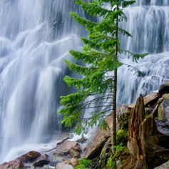 Bell Canyon