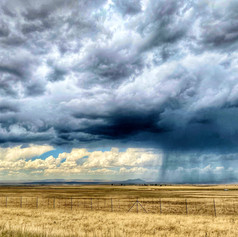 Storm