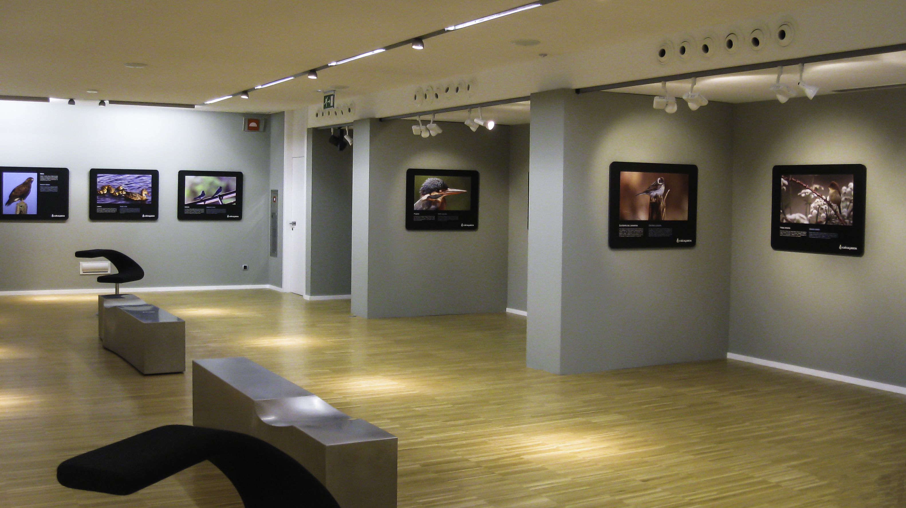 Exposiciones