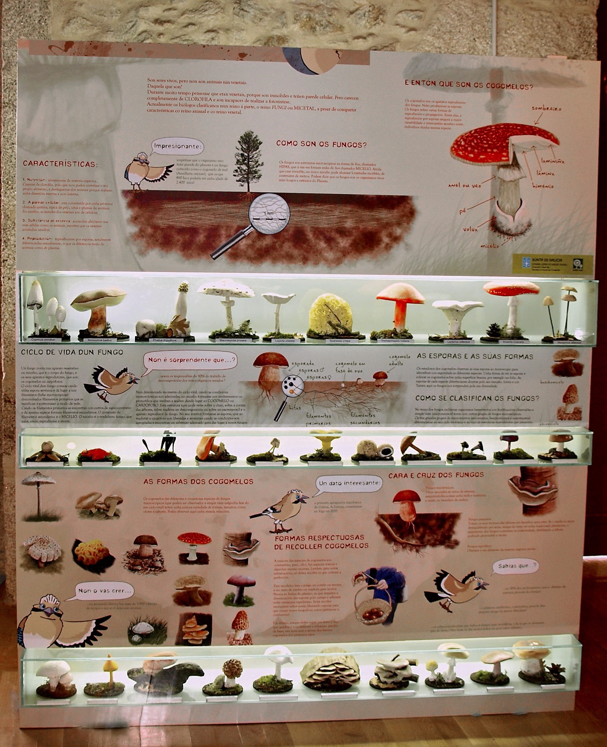 Museos. Maqueta