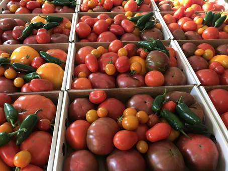 Farm Share Wednesday August 25