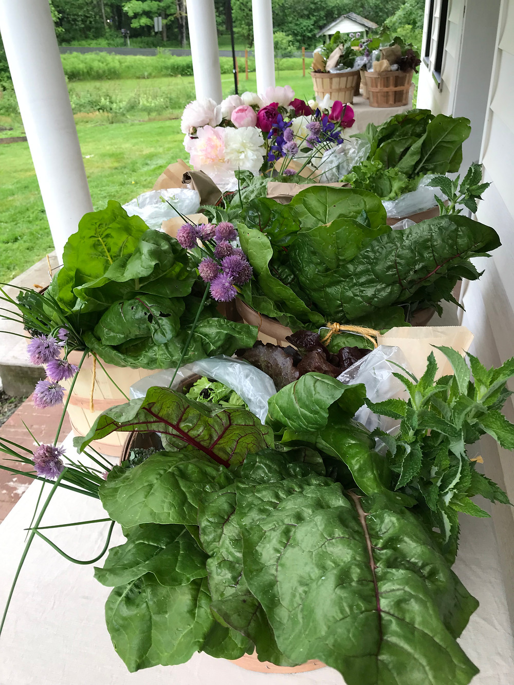 fresh herbs
