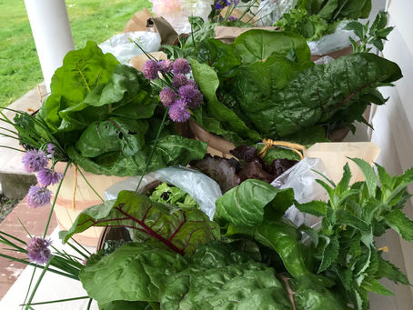 CSA 2020 - Shares Available Now!