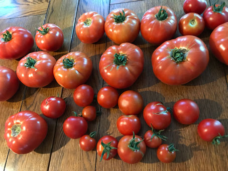 1/2 Bushel Basket of pure Adventure.