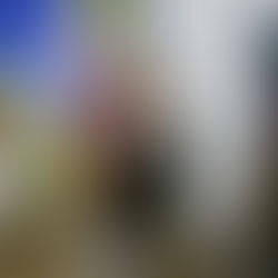 Nachlese der Ausstellung in der Orangerie
