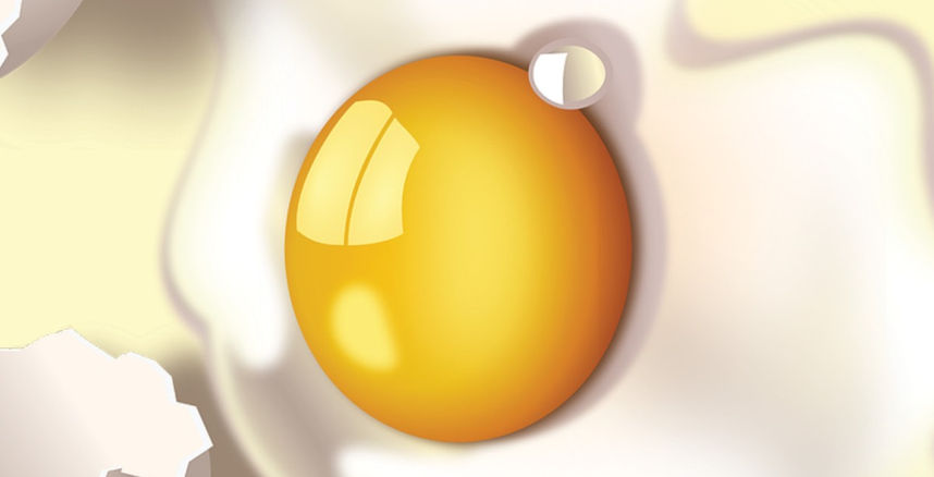 Cracking the Case: The "Truth" Behind The Eggings