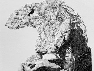 "The Rat"