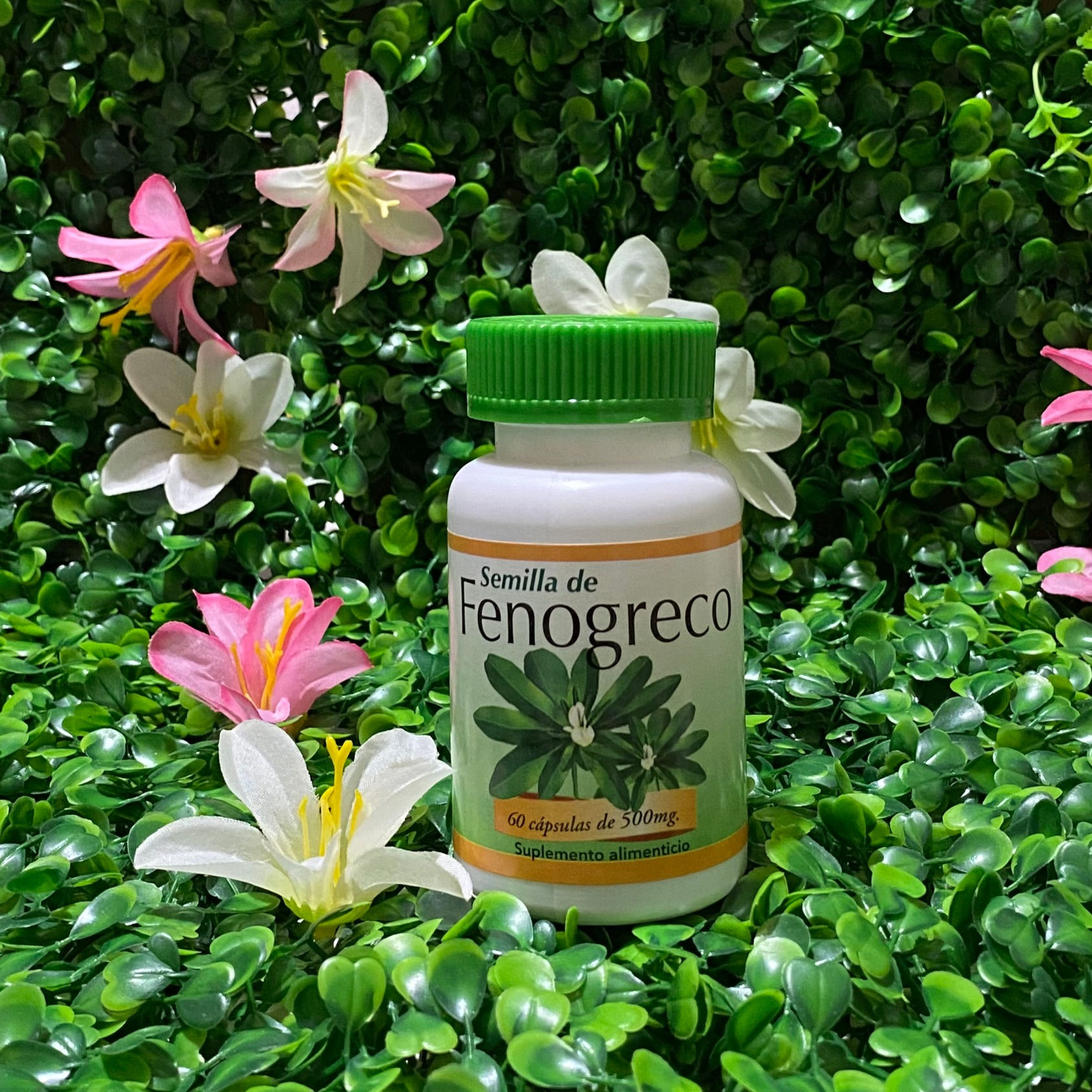 SEMILLA DE FENOGRECO CÁPSULAS