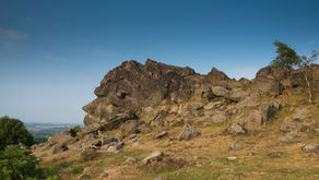 Theme for IGD2026: Have Your Say