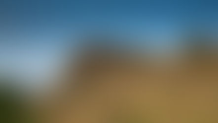 Theme for IGD2026: Have Your Say