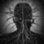 Neuronal black conexion.jpg