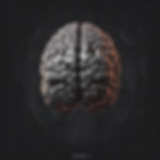 brain black .jpg