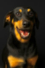 Macalee sonriendo