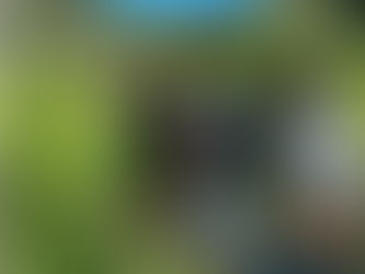 Comissão do projeto Turismo Afro em Alagoas, visita o Hùnkpámè Ayónó Hùndésô.