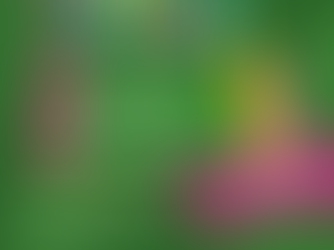 Programação de Carnaval do Ponto de Cultura