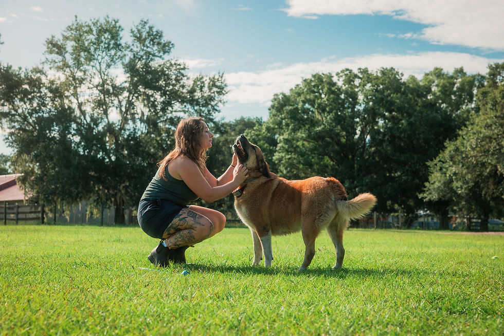 The relationship between a pet and their person is undeniable - which is why every chapter, including the final one, deserves to be handled with the same love and care. 