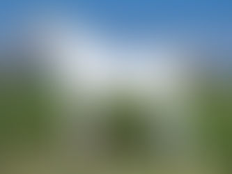 Wat is een zuiver Egyptische Arabier?