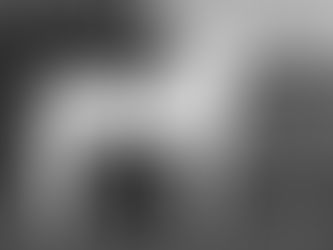 Wat is een “Blue List” Arabier?