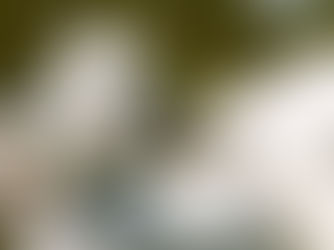 Letztes Gefriersperma von La Mirage