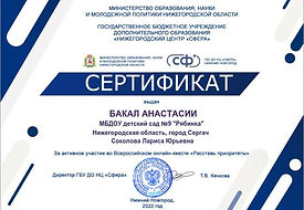 бакал.jpg