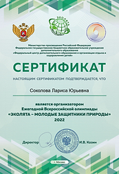 загружено (3).png