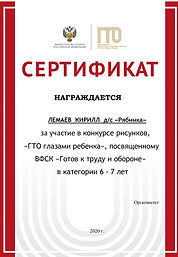 ЛЕМАЕВ (2).jpg