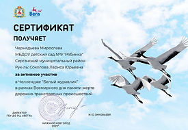 __ФИО участника__ (3)_page-0001.jpg