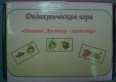 CIMG9132.JPG
