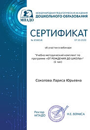 certificate_sokolova_larisa_yurevna_8598