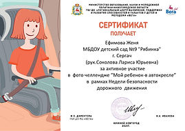 ефимова_page-0001.jpg