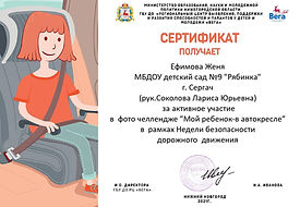 ефимова_page-0001.jpg