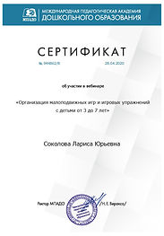vebinar-organizaciya-malopodvizhnyh-igr-