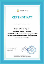 Соколова Лариса Юрьевна.jpg