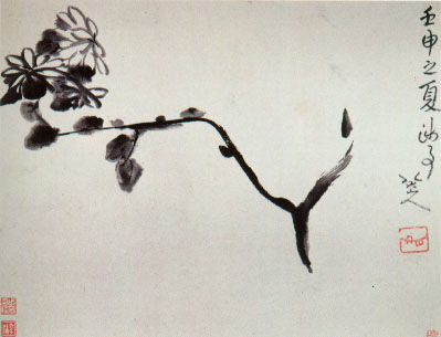 chrysantheme-1962.jpg