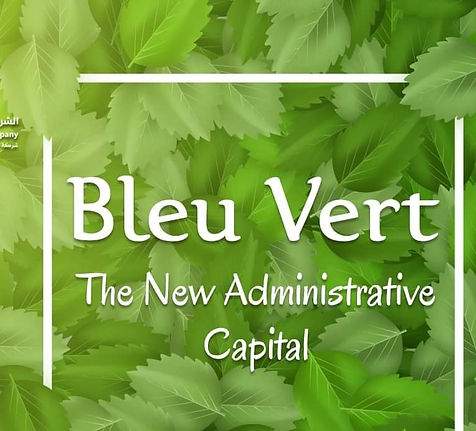 BLEU VERT
