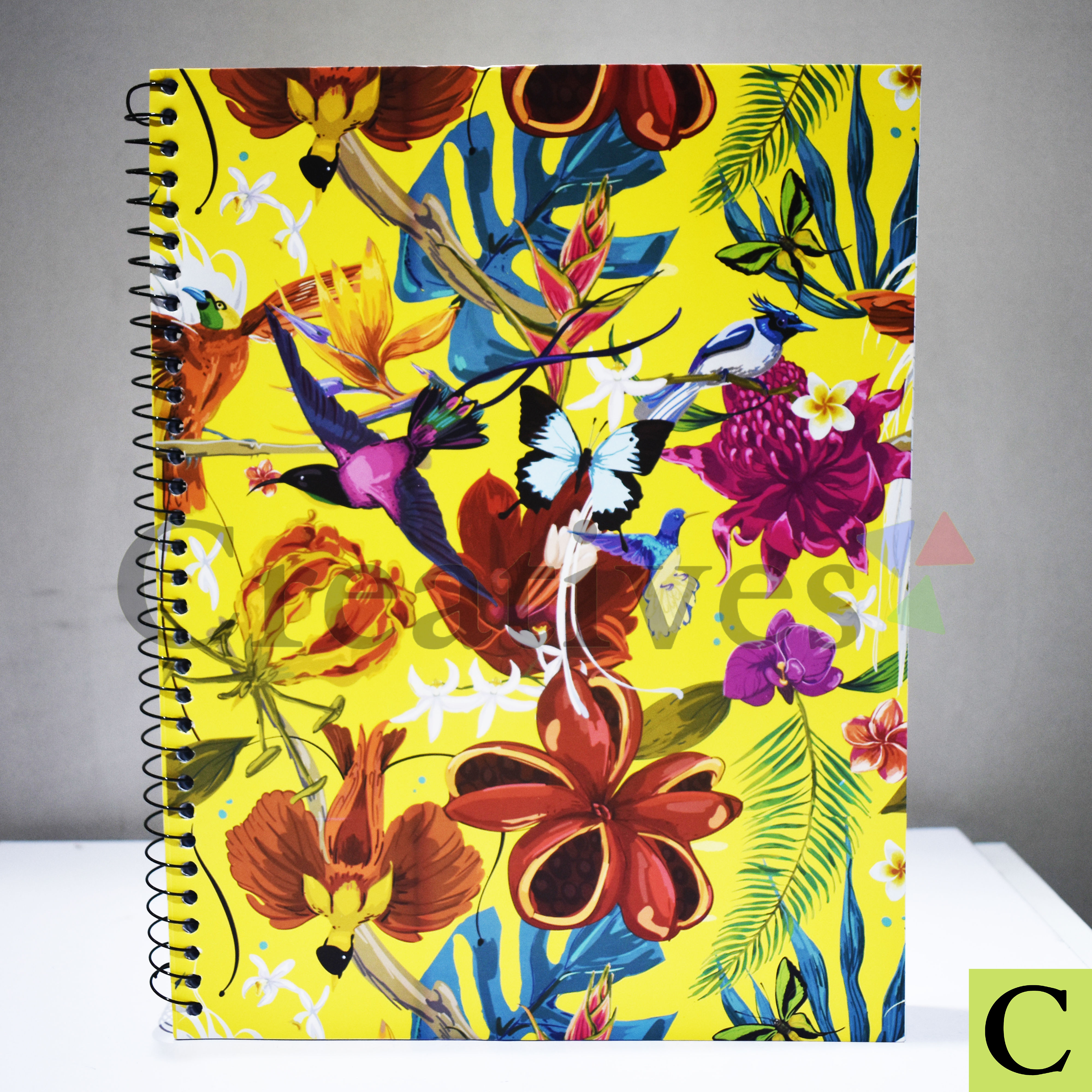 Notebook 5 Subjects (2)