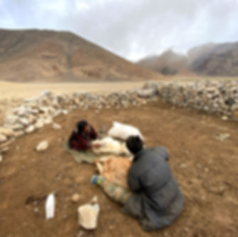 Ladakh Pashmina Trail (9N/10D)
